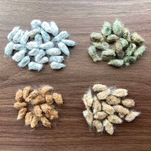 綿の種 70粒 (白・薄茶・茶・緑)