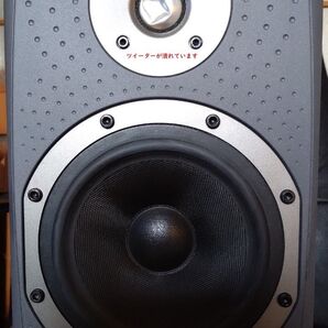 BOWERS & WILKINS DM303(1台のみ)
