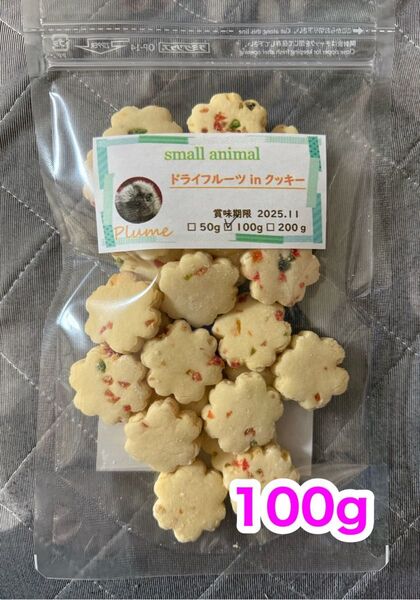 小動物、ドライフルーツinクッキー100g、フクロモモンガ、ショウガラゴ等
