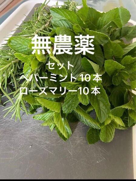 無農薬セットペパーミントの苗10本&ローズマリー10本