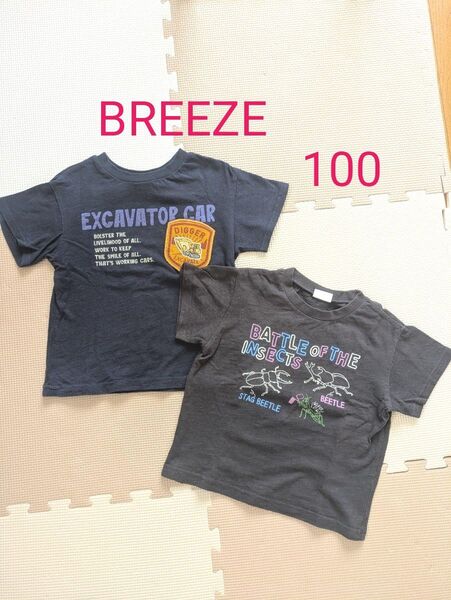 BREEZE 半袖Tシャツ 2枚セット