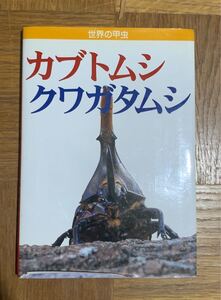 カブトムシ クワガタムシ