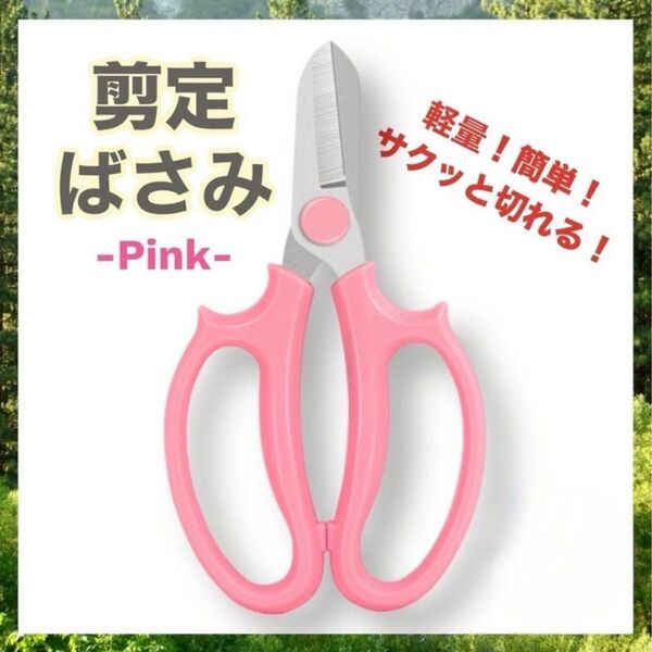 はさみ 園芸 ピンク 剪定 枝切り ガーデニング フラワーアレンジメント 盆栽 観葉植物 剪定鋏 畑 庭 菜園 花 華道