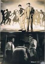 *1903M087 映画スチル「汚れた顔」21枚 森永健次郎、青山恭二 １９５９年公開_画像3