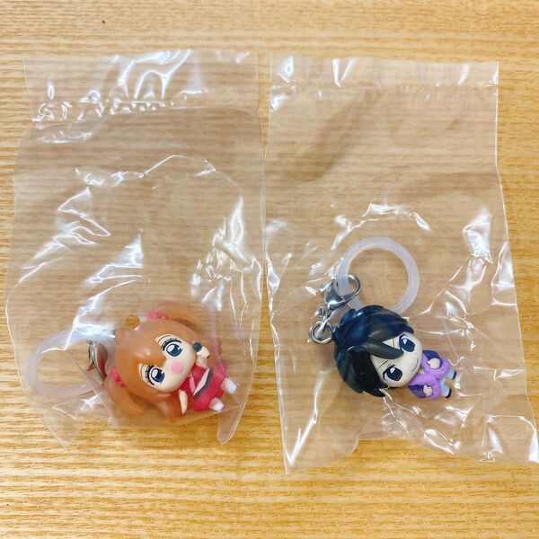 【即日発送】きらりん☆レボリューション めじるしアクセサリー