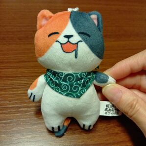 毎日お家であおむき隊 おニャン子団 三毛猫