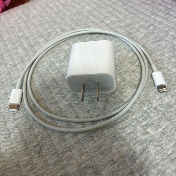 Apple純正 iPhone USB-Cポート ライトニングケーブル