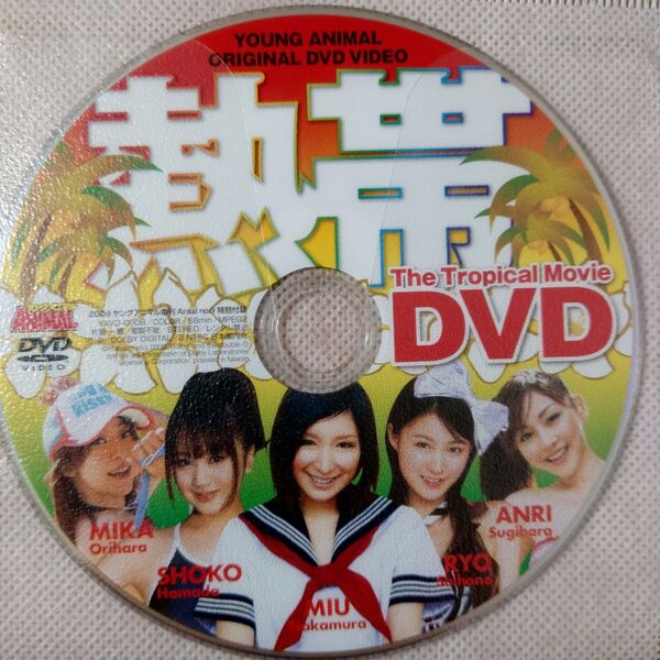 【杉原杏璃 折原みか 浜田翔子 ほしの涼 仲村みう】ヤングアニマル増刊嵐 2009年 No.9 付録DVD
