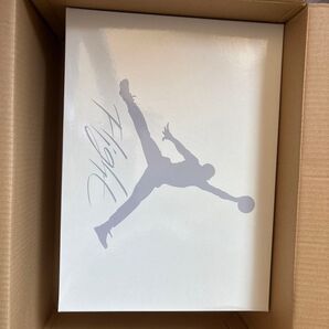 NIKE SB Jordan 4 Navy 28cm 新品未試着
