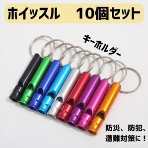 ホイッスル 笛 救助笛 災害 防災 防犯 アウトドア 小型 キーホルダー 地震 笛 アウトドア 防犯 携帯 キャンプ