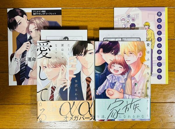 【たとえ運命じゃなくても愛してる】木沢さわき【愛はふたりのあいだから】点ひな ☆アニメイト特典付き