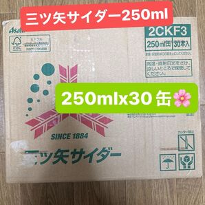 アサヒ 三ツ矢サイダー 缶 250ml 30本 新品未開封