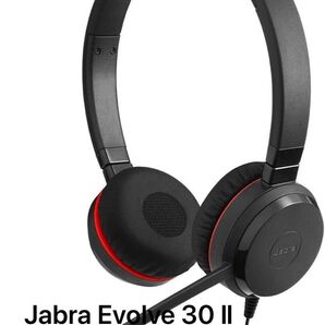 (新品) Jabra Evolve 30ⅡENC060 Dell向けOEM製品
