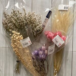 プリザーブドフラワー まとめ売り 詰合せ ドライフラワー 花材 ②