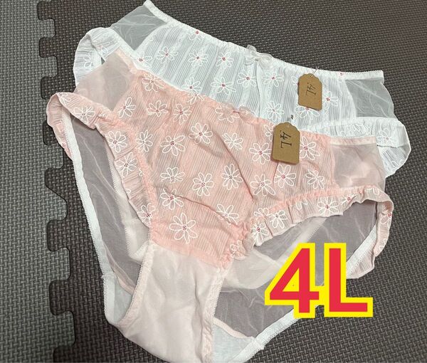 大きいサイズ4L かわいい!デイジーお花ショーツ2枚セット