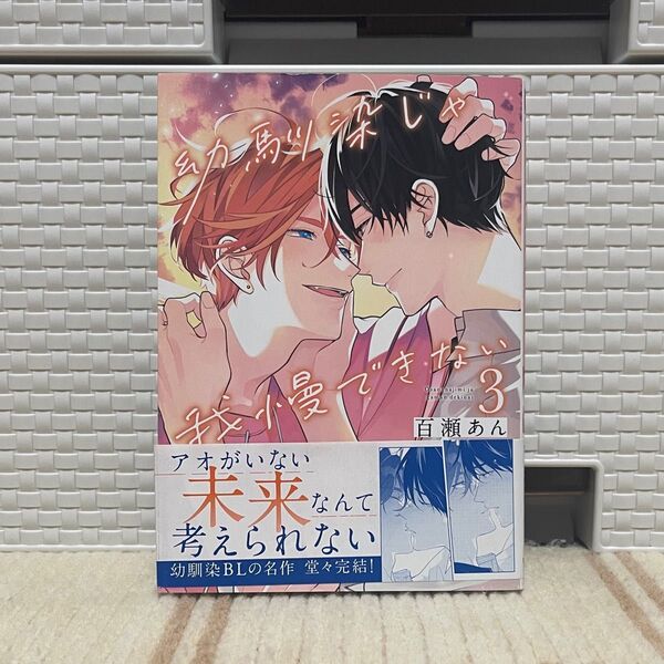 幼馴染じゃ我慢できない 3/百瀬あん