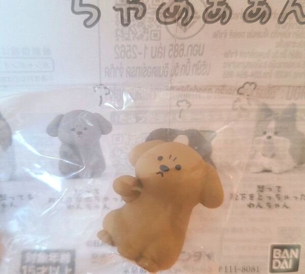 怒ったわんちゃあぁぁん/トイプードル②