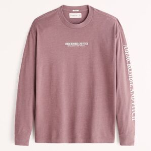新品 正規品 A&F 長袖 ロンT フロックロゴTシャツ TR
