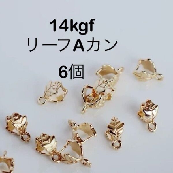 14kgfリーフAカン 6個