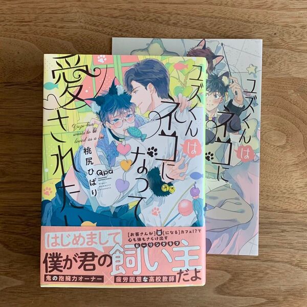 ユズくんはネコになって愛されたい