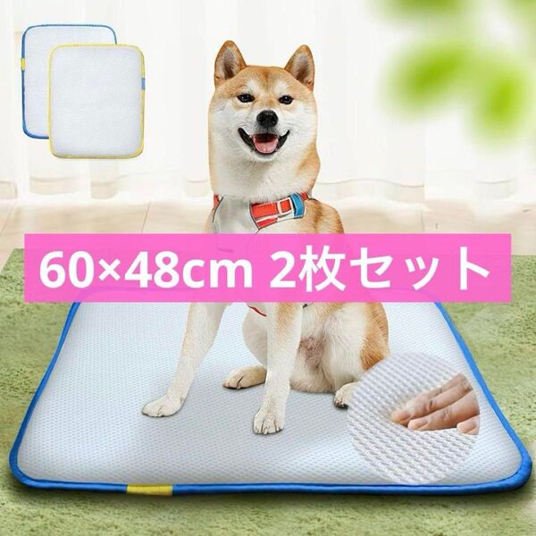 ペットシーツ トイレシート 瞬間吸収 脱臭速乾 2枚セット 60×48cm