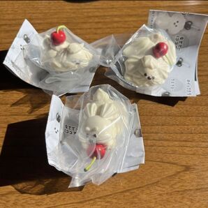 ホイップわんちゃんのくらし