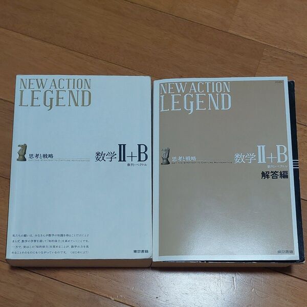NEW ACTION LEGEND数学2+B? 思考と戦略 数列ベクトル