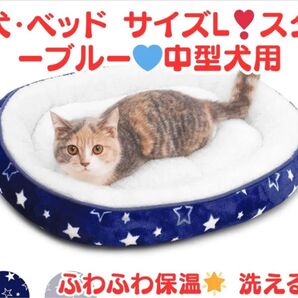 【新品未使用】 犬・ベッド サイズL! 星柄 ふわふわ 洗える ブルー 中型犬 大型犬