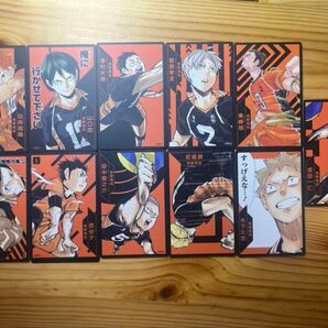 ハイキュー援 ボドカ