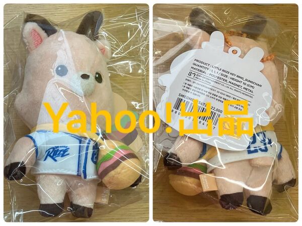 RIIZE WE LITTLE RIIZE PARK POP UP リトル LITTLE RIIZE キーリング ウンソク