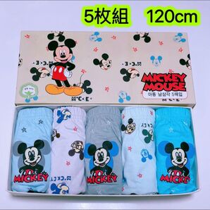 5枚組120 男の子ブリーフ 可愛いパンツ 子供下着 キッズ下着 肌着 440号