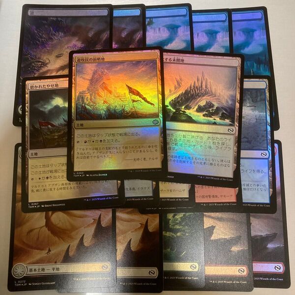 MTG 日本語 FOIL 土地 17枚セット タルキール 龍嵐録