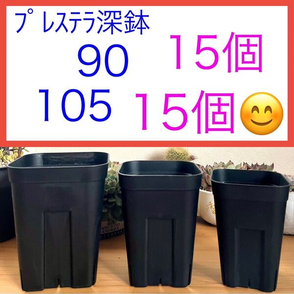 F④ プレステラお得セット★ 【90深鉢15個】【105深鉢15個】
