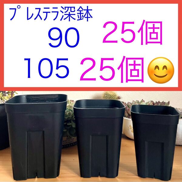 F④ プレステラお得セット★ 【90深鉢25個】【105深鉢25個】