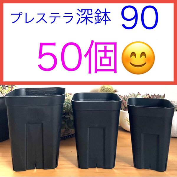 F①【プレステラ90深鉢・2.5号ロング鉢】ブラック50個★