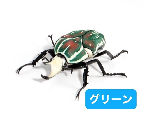 いきもの大図鑑 かぶとむし08 ポリフェムスオオツノカナブン(グリーン)【カプセル版】