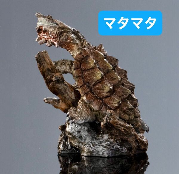 いきもの大図鑑ミニコレクション カメ01 マタマタ