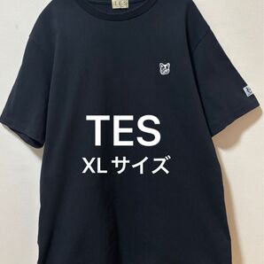 美品 TES The Endless Summer エンドレスサマー ワンポイントロゴ Tシャツ
