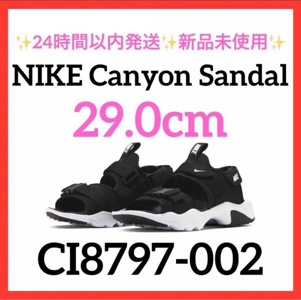 29.0cm CI8797-002 ナイキ キャニオンサンダル 新品未使用NIKE Canyon Sandal