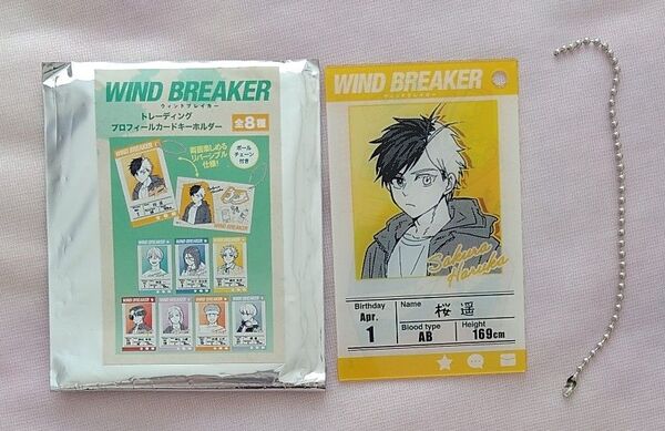 WIND BREAKER ウィンブレ 桜 プロフィールカード 原作絵