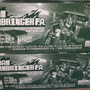 【新品未組立2個セット】MG 1/100 ガンダムストームブリンガー F.A.(フェイタル・アッシュ)/ジム・タービュレンス