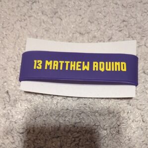 群馬クレインサンダーズ ラバーバンド