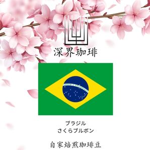 300g ブラジル さくらブルボン ニュークロップ入荷! 自家焙煎珈琲豆
