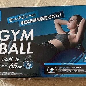 ACTIVEGEAR ジムボール バランスボール