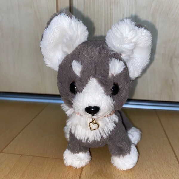 パプス廃盤チワワぬいぐるみグレー。サンレモンぬいぐるみ 犬ぬいぐるみ チワワぬいぐるみ