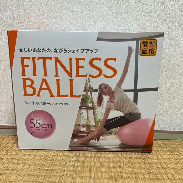 バランスボール 55cm