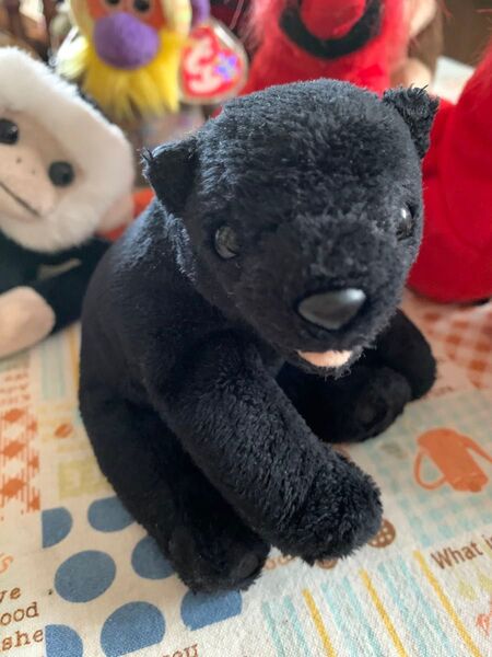 ty The Beanie Babies Collection Ciders