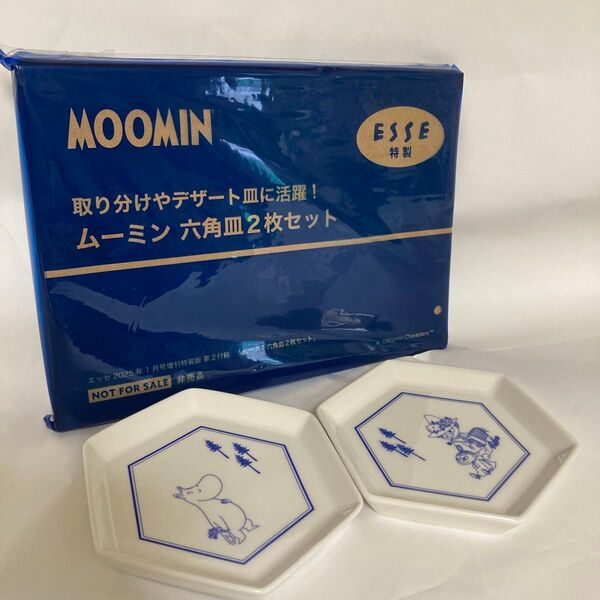 ESSE雑誌 付録 エッセ ムーミン 磁器の六角皿 MOOMIN