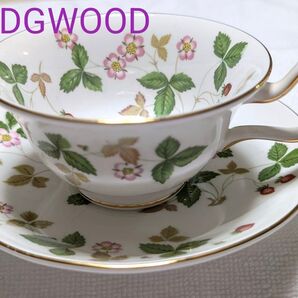 蔵出し★WEDGWOOD★ワイルドストロベリー★未使用★ ウェッジウッド★エトワールのおまけ付き★