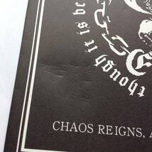 Chaos Engine - Chaos Reigns, A "Ray" Of Hope Remains._画像2